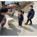 진서농장 이미지