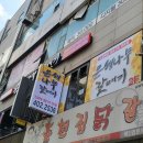 은행나무갈매기 이미지