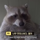 이상한 일이 많이 일어나네