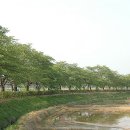 경포호수 5 Daum카페