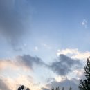 유니버설 아트센터 이미지