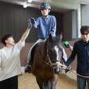 치유하다 이미지