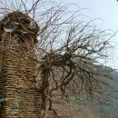 선비뜨락 이미지