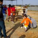 신바람민박 이미지