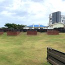 더 아도록 이미지