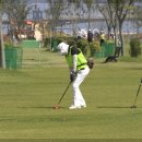 파크골프 이미지