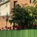 산칠록목욕탕 이미지