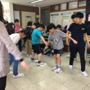 성남정자초등학교 이미지