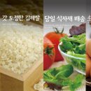 웰빙분식 이미지