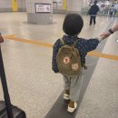 ktx 유아동반석 일반인도 많이타요. 미디어노출없는 기차여행 후기(자판기 위치)