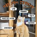 주연의료기 | [ 필독⭐️ 겨울대비 ] 겨울철 고양이 건강관리법 모음zip / 고양이텐트 따수미펫텐트 고양이 전기매트...