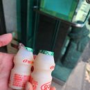 라도불백 | 송림식당건대 기사식당의 전설! 송림식당 돼지불백, 왜 이제야 왔을까?!