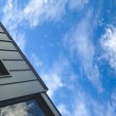 동광의계절 이미지