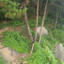 슈올즈 대전중앙시장점 이미지