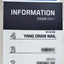 양드로네일