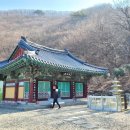 대안동 신흥사 구 대웅전 이미지