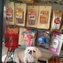 동인동물병원 이미지