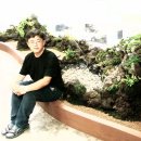 공간꽃조경 이미지