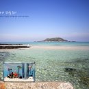 캔들바다 이미지