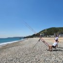 관성솔밭해변 이미지