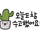 꽃꽃이(플라워테라피) 이미지