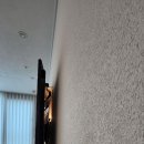 이노시티 | 나주 벽걸이 티비 설치 이노시티애시앙 엘지75인치 무타공설치 후기