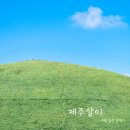 (주)중동공업사 | 8월 제주살이~ 제주도 관광지 제주 핫플 볼거리 놀거리 먹거리!