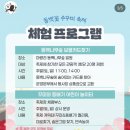 서천-22 | 서천 동백꽃 주꾸미 축제 2026년 3월 주말방문 솔직후기