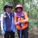 검암산(정상) 이미지