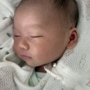 일센치(1CM) | [내돈내산] 신생아 태열·홍반·여드름 싹 나았어요! 일센치 약모밀 앰플 & 로션 육아 후기