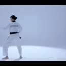 월드미션태권도 이미지