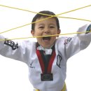 청라 정석 태권도장 이미지