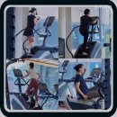 짐나빌레라 이미지