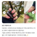 808네일 이미지