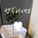 텐인텐아이파크시티공인중개사사무소 이미지
