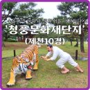 매산청풍마을 | [제천 10경] &#34;청풍문화재 단지(4), 청풍면 수몰지역 문화와 문화재를 이전 복원해 만든 작은 민속촌 &#34;