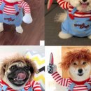 꾸미는 강아지 이미지