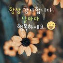쁘띠쁘띠