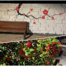 호랑가시나무민박 이미지