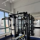 역동복싱 이미지