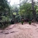 찬물샘약수터 이미지