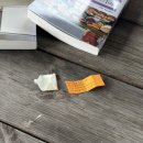 종달초등학교 병설유치원 이미지