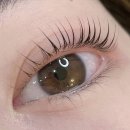 선브로우 이미지