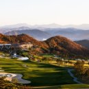 소노펠리체 컨트리클럽 델피노 이미지