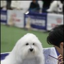 유어라운지 이미지