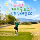 스프링데일CC | 한라산뷰 제주도골프장 2인플레이되는 스프링데일cc 후기