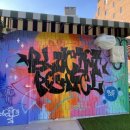 블루닷 포쉬텔 이미지