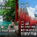 유랑카페