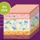 (주)파마리더스 네이버블로그
