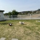 오늘도 너와 이미지